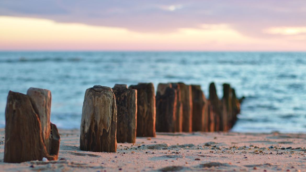 Sculpté par la mer