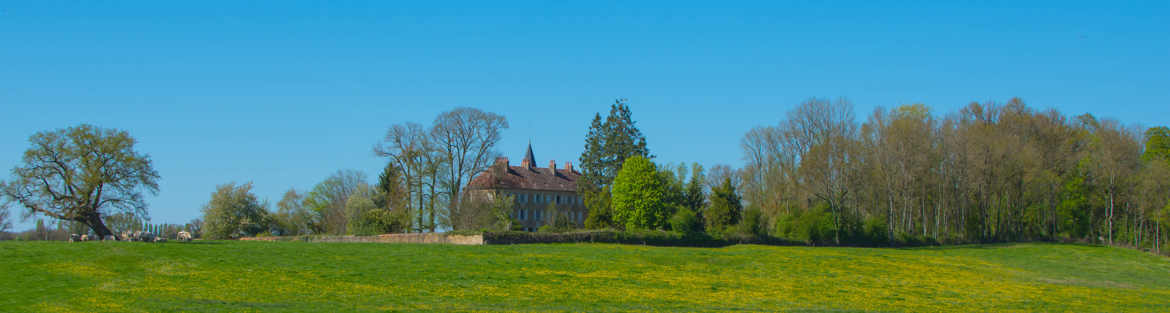 Chateau panorama
