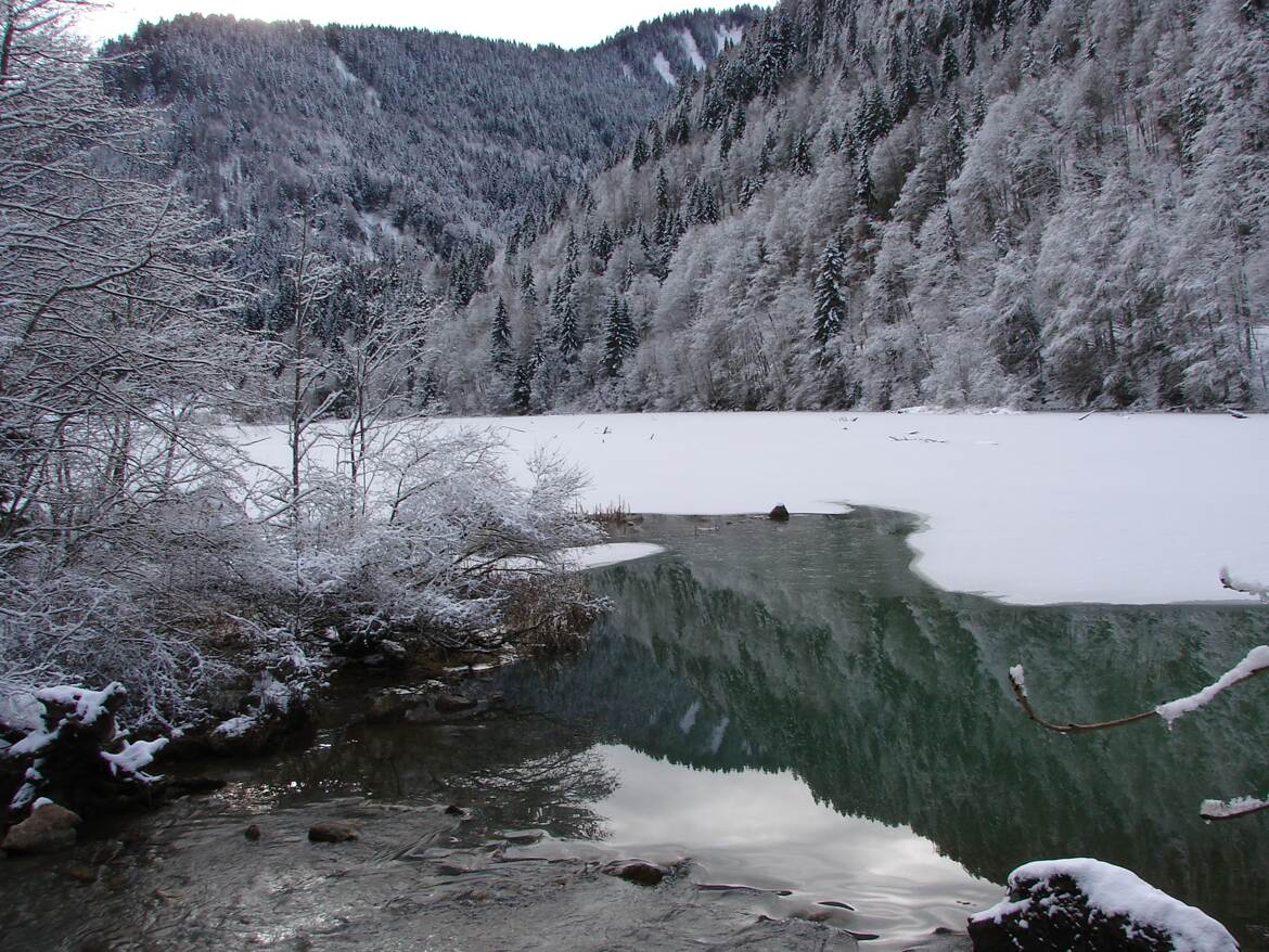 Reflet vert dans le gris-blanc