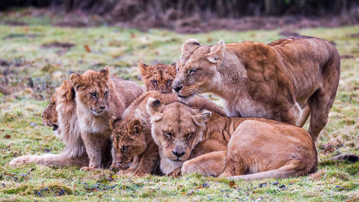 Une famille unie