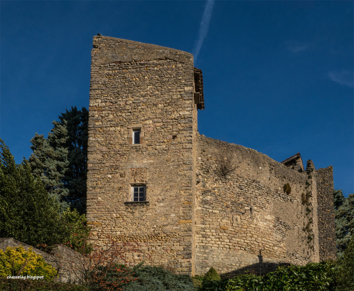 Vestige Château