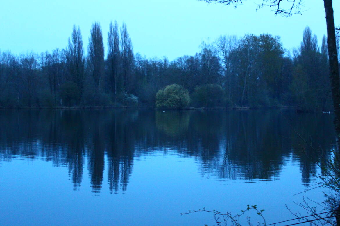 Reflet dans l'eau