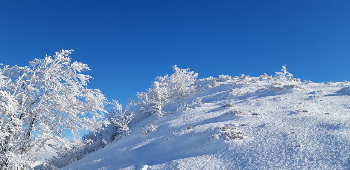 blanc sur bleu