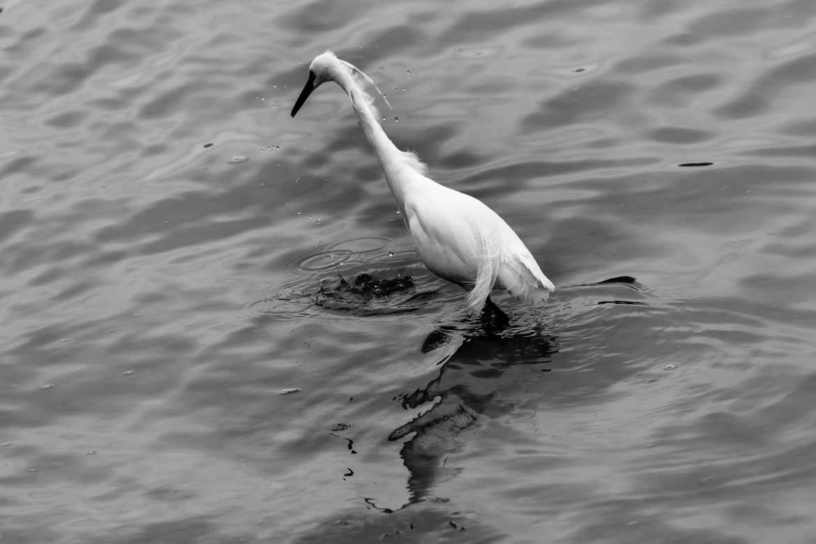 Zone de pêche