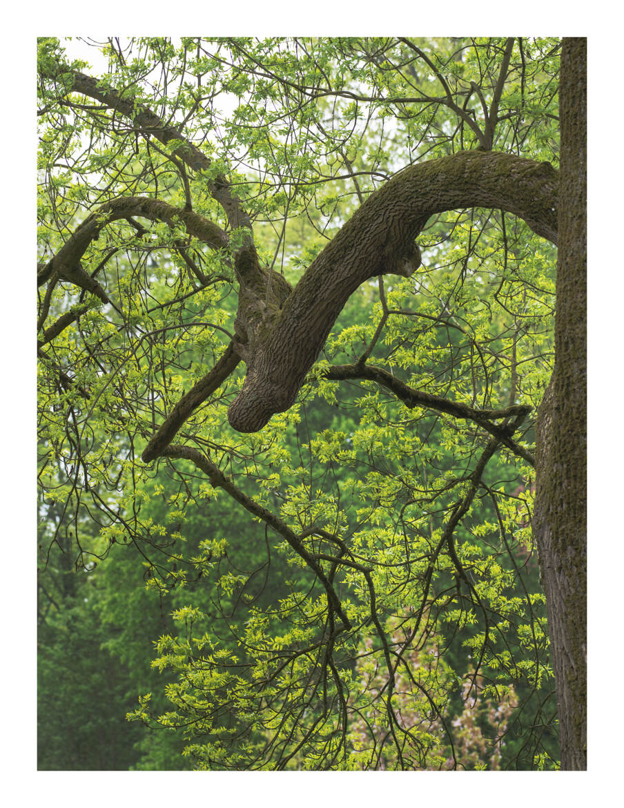 La puissance de la nature