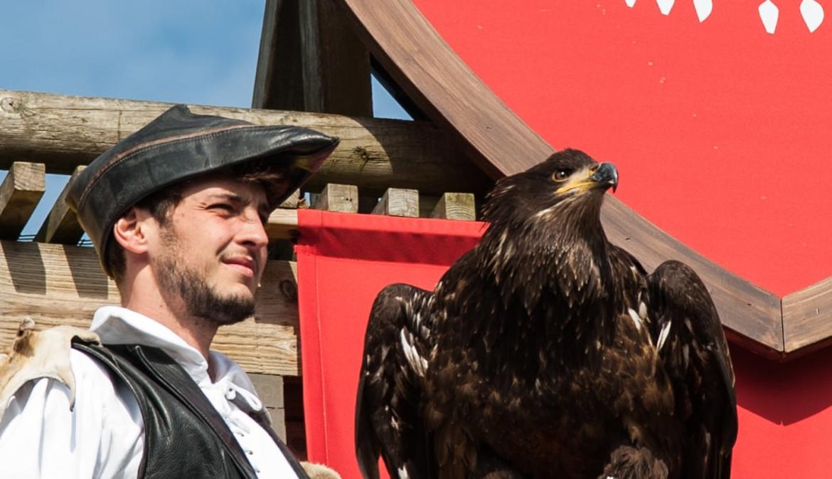 l'aigle royal et son dresseur