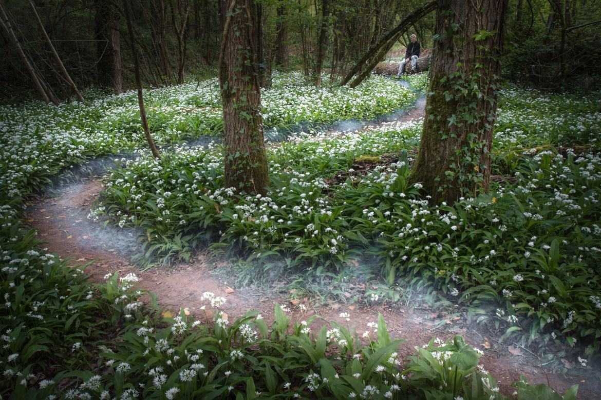 Pose matinale en forêt