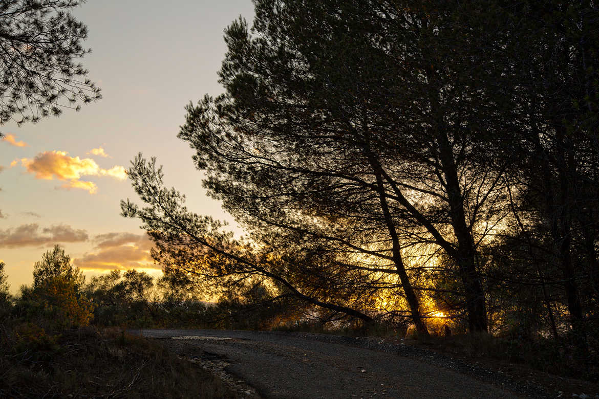 Chemin de garrigue