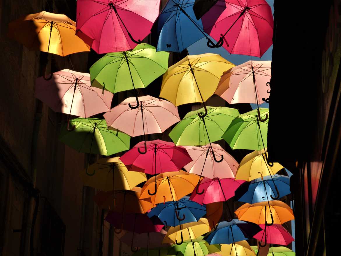 parapluies en couleur