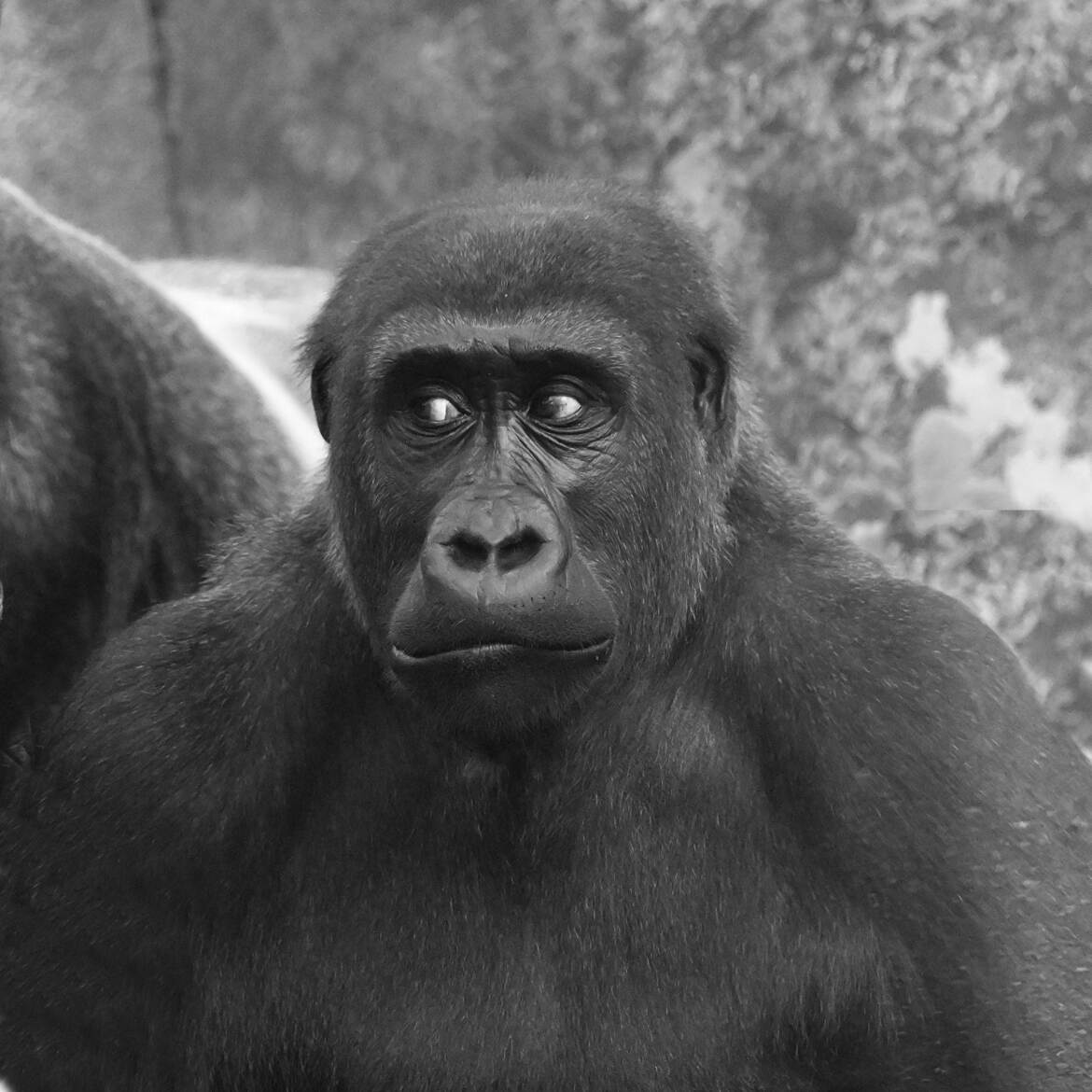 Oups! Repérée par Asato