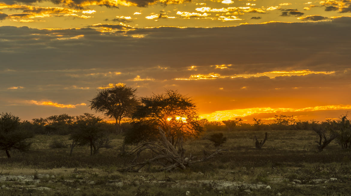 coucher de soleil