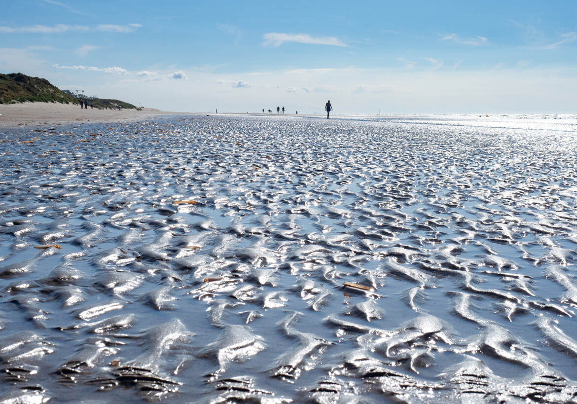 Marée basse