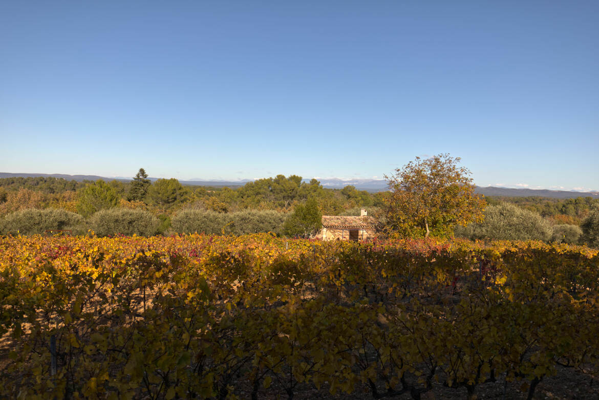 Automne cabanon de provence