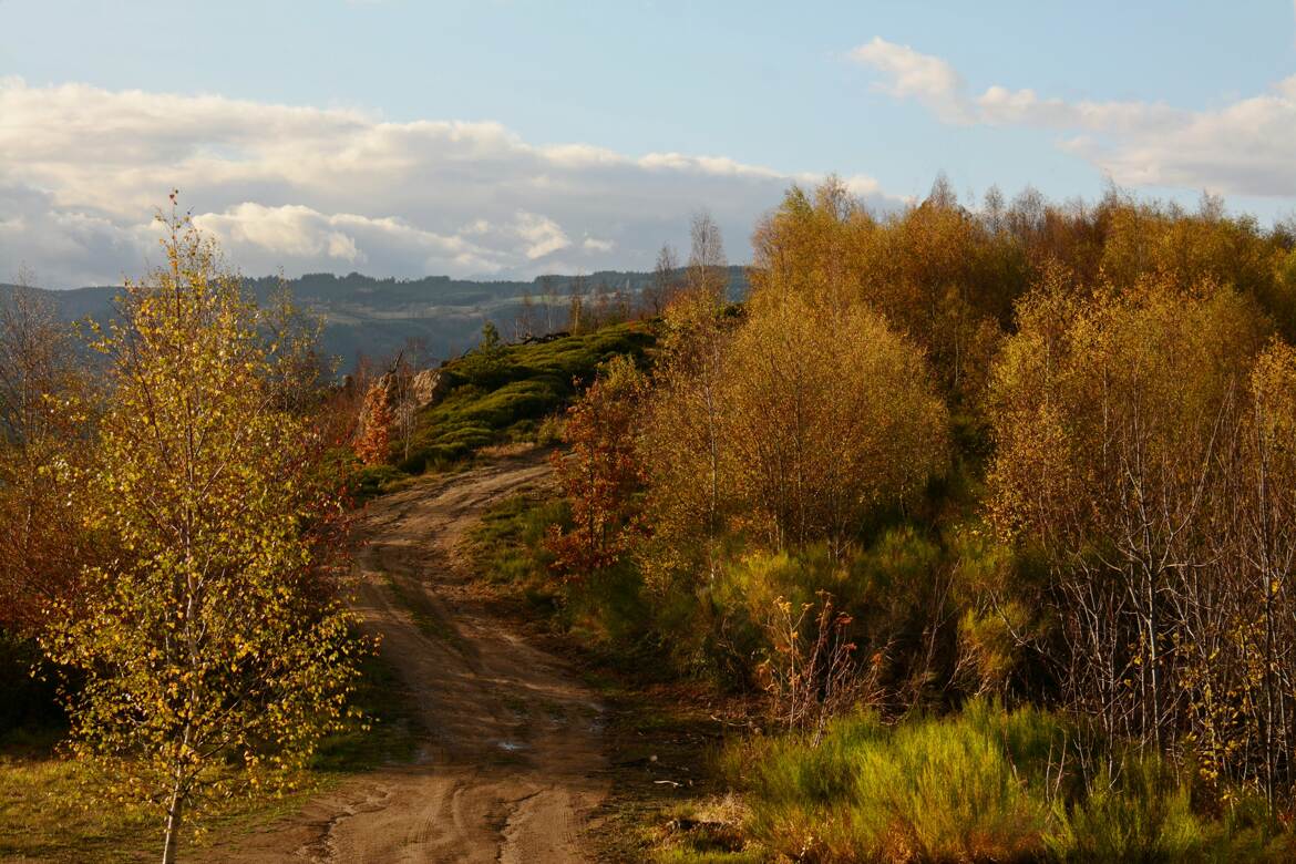 Couleurs chaudes d'automne