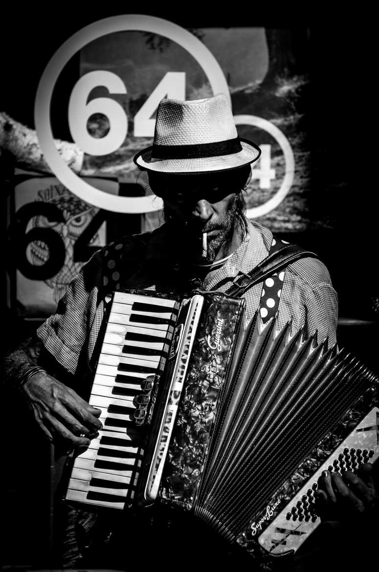 L'accordéoniste