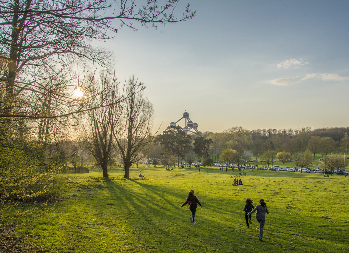 Parc Royal - Premiers Rayons de Soleil