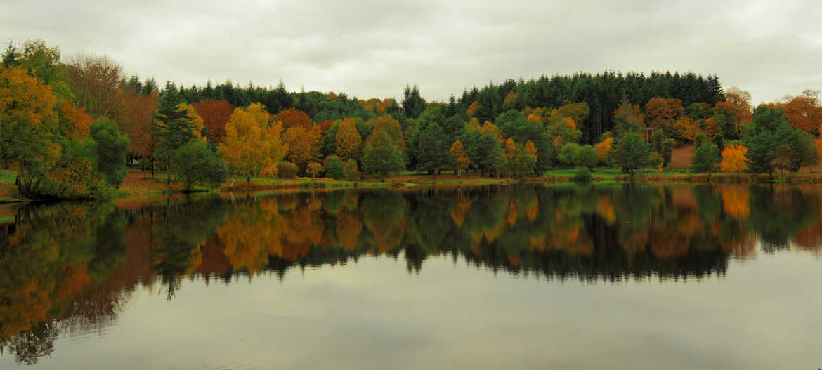 Forêt de Brocéliande