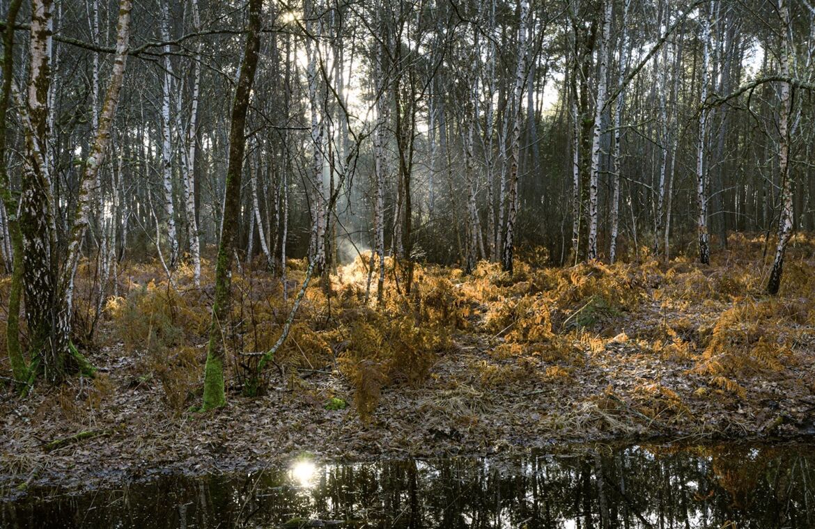 le rayon de soleil de l'automne