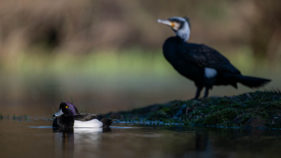 Le N&B c'est tendance