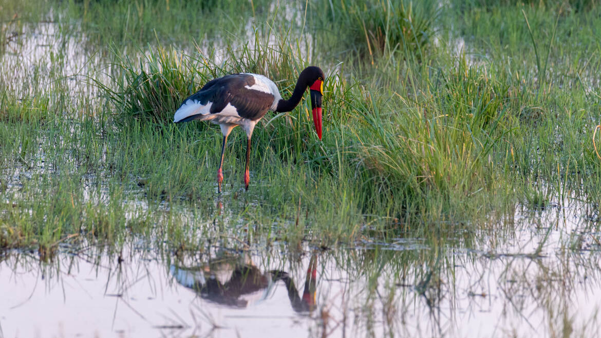Les pieds dans l'eau