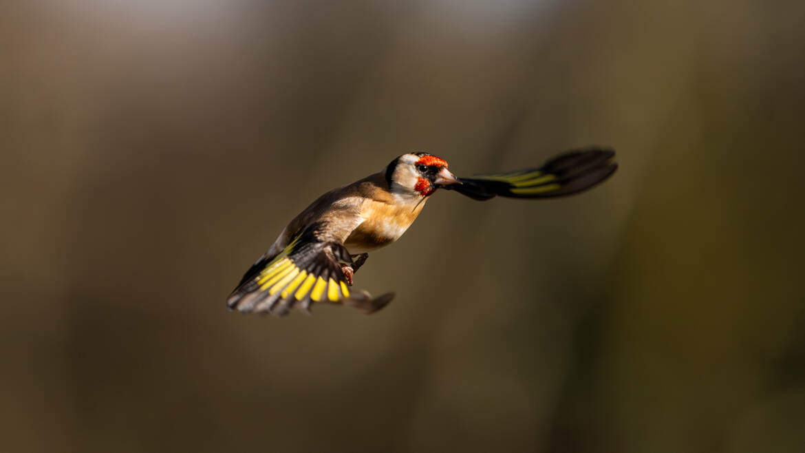 En phase d'atterrissage