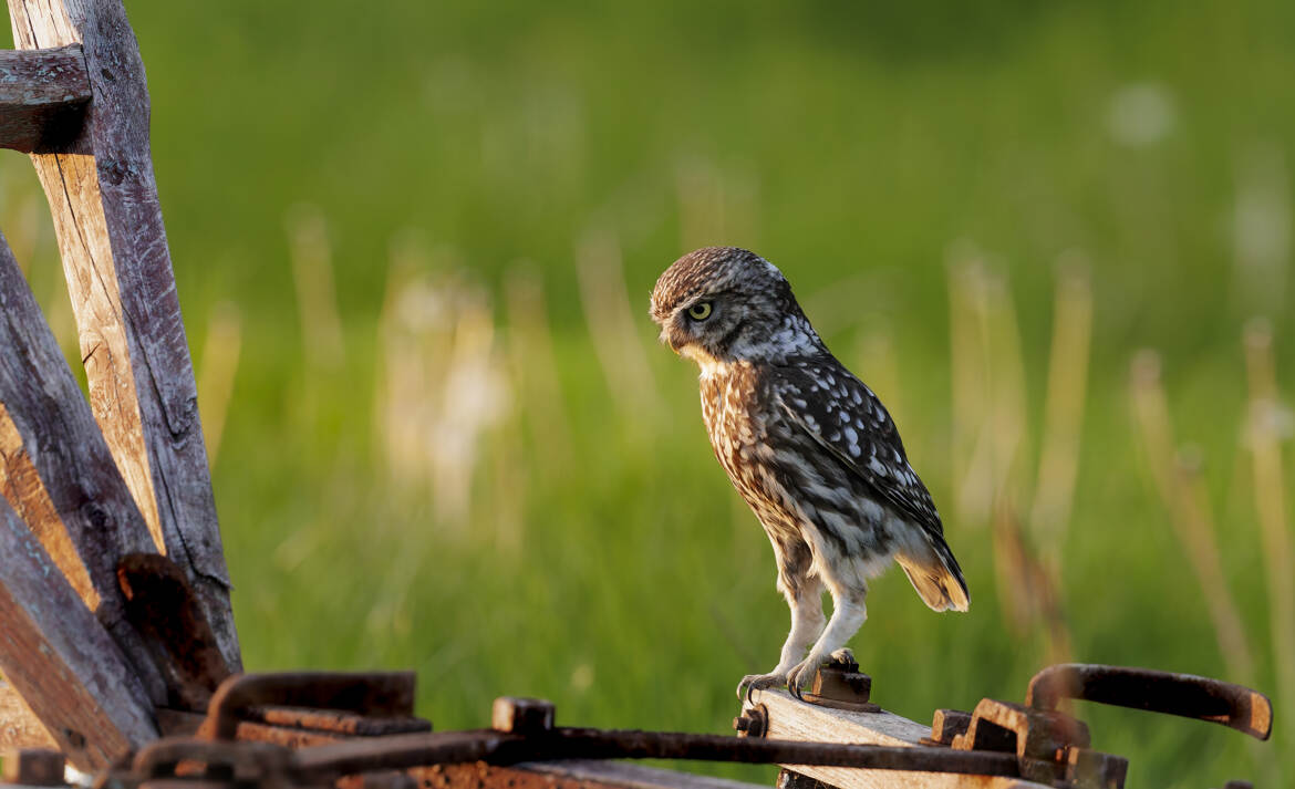 C'est quoi ce bidule