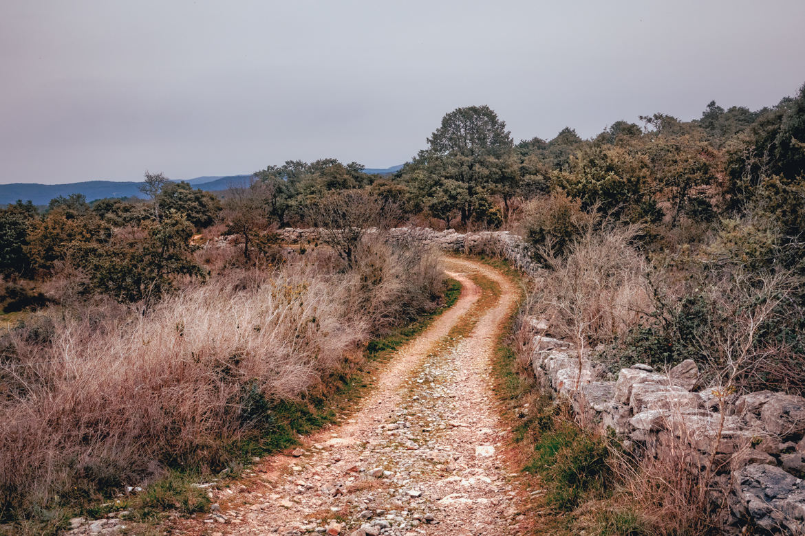 Le chemin