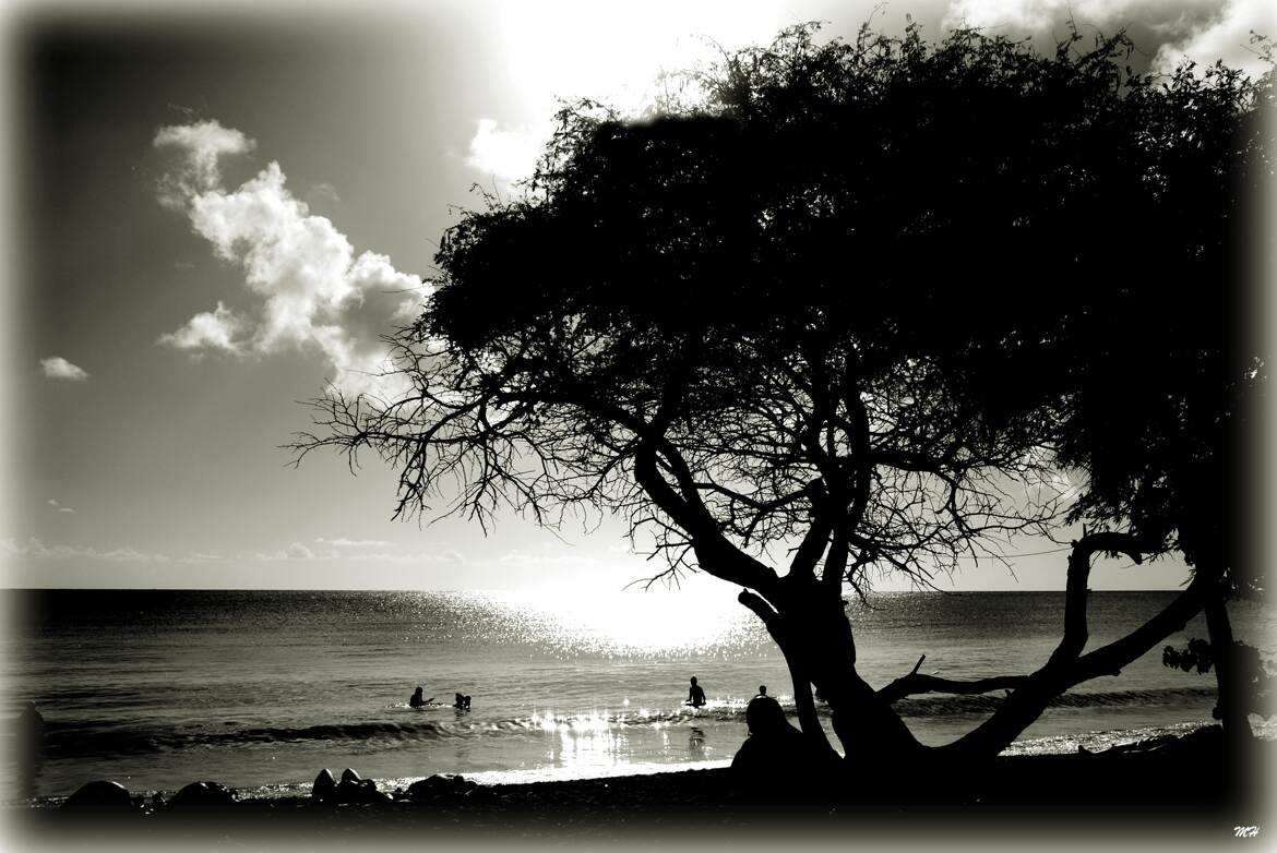 Carte postale genre années 50