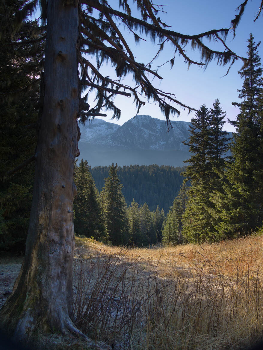 Les couleurs me manquent