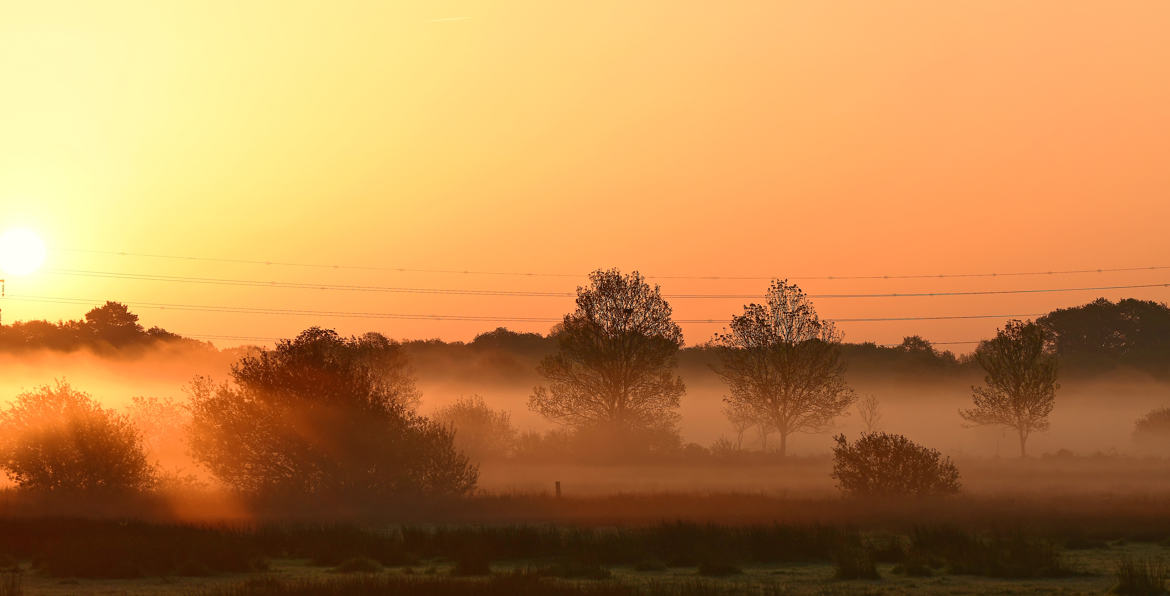 Soleil sur marais