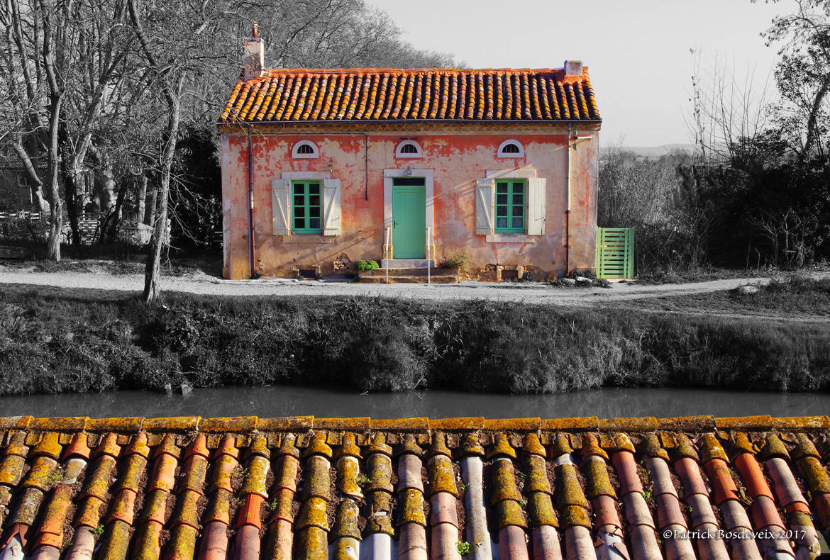 Au bord du Canal du Midi (2).