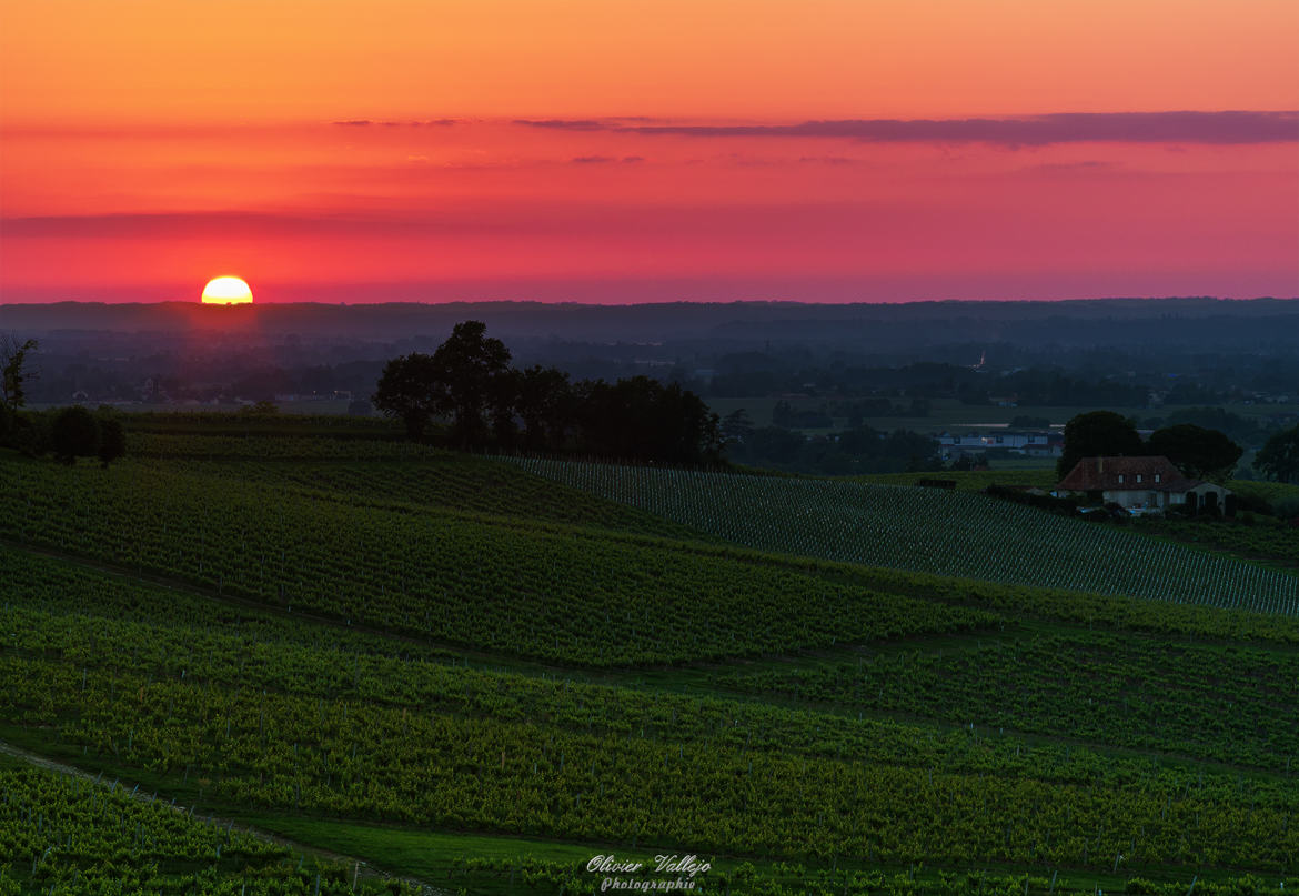 Coucher de soleil sur le vignoble de Monbazillac