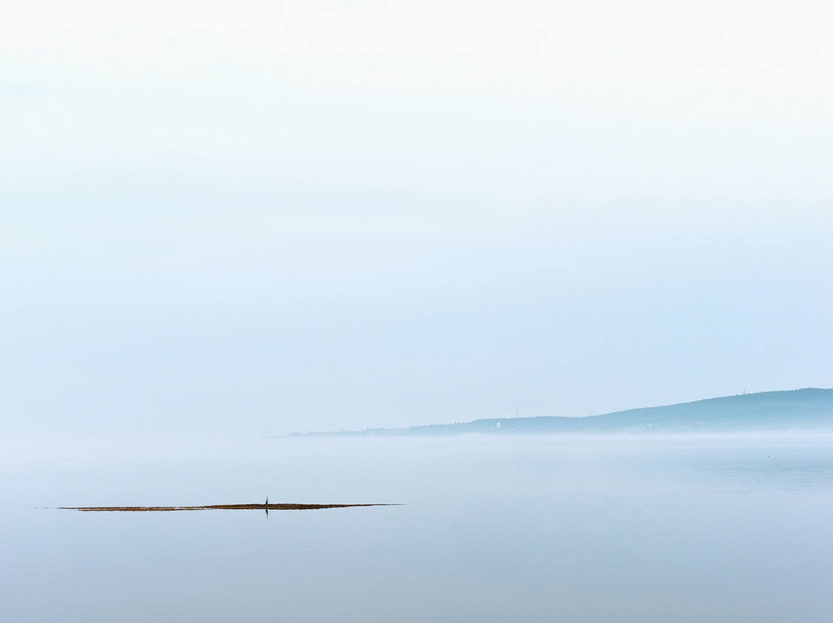 Brouillard sur la baie