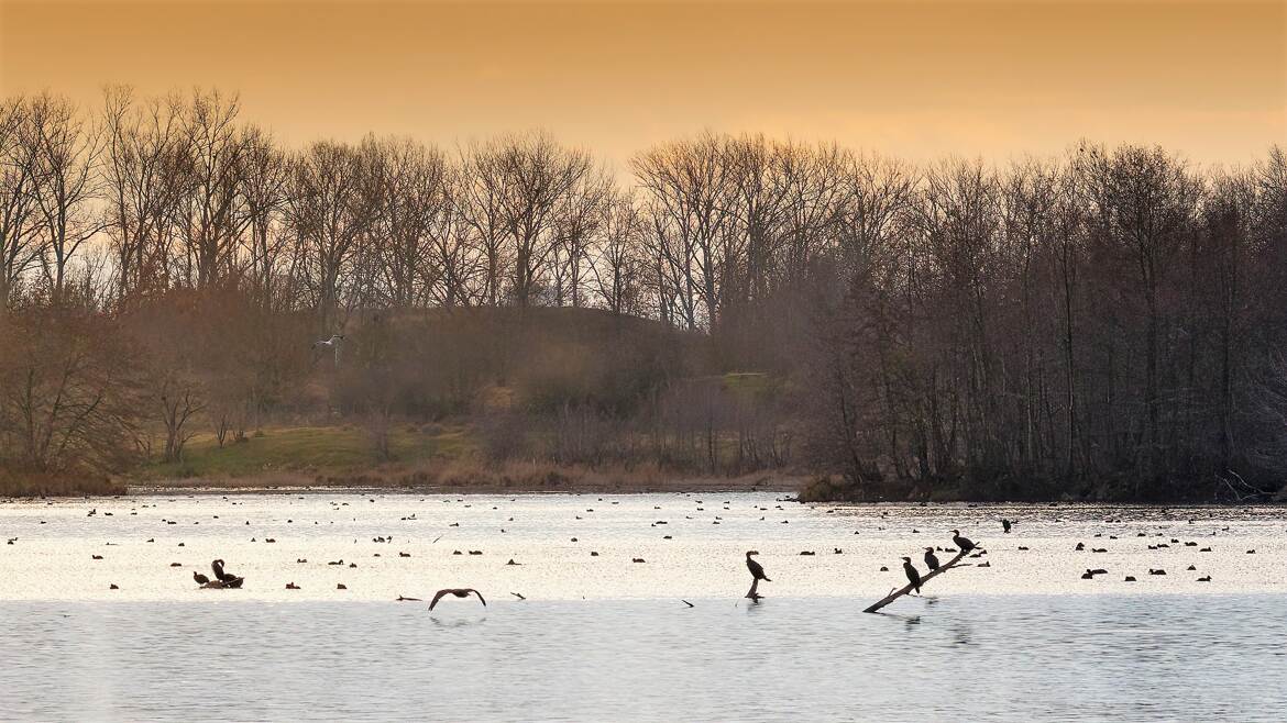 Sunset sur le Rhone