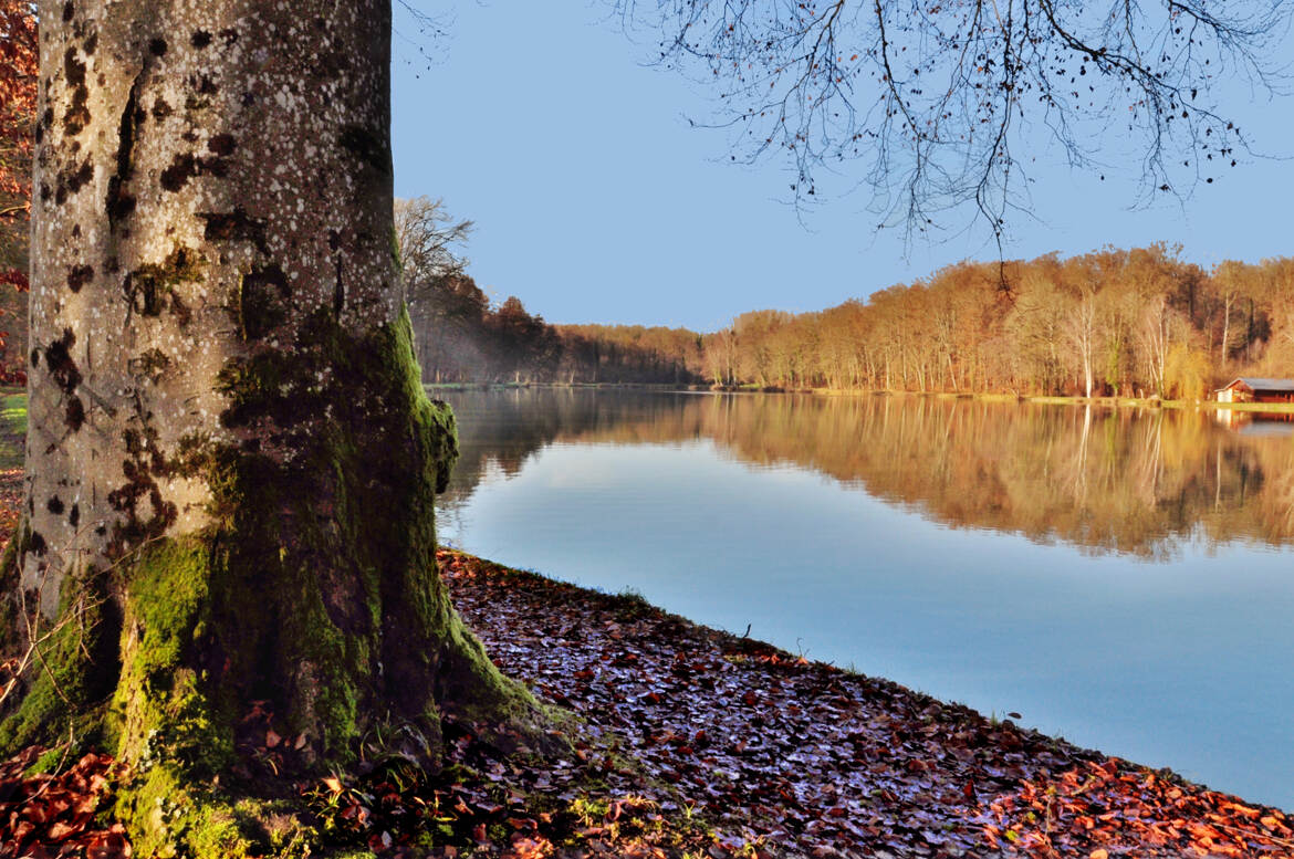 Balade au soleil d'automne