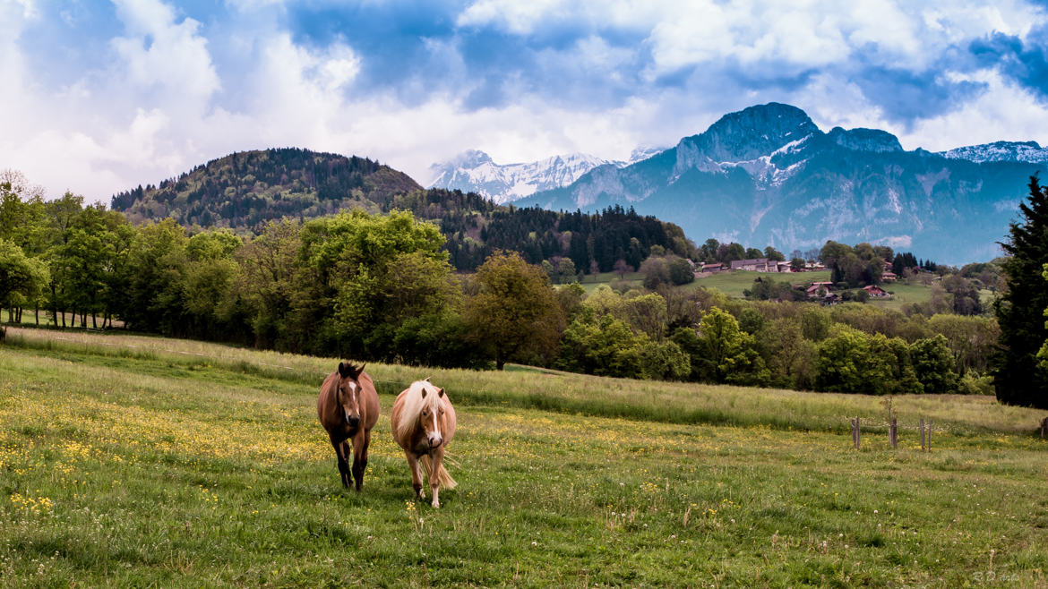 val d'arve