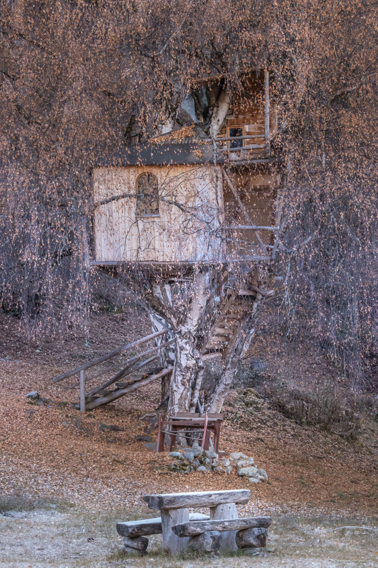 Cabane perchée