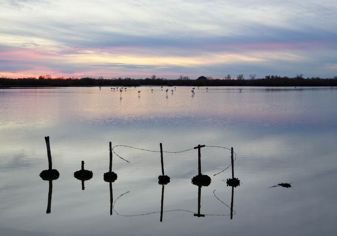 Six points en suspension