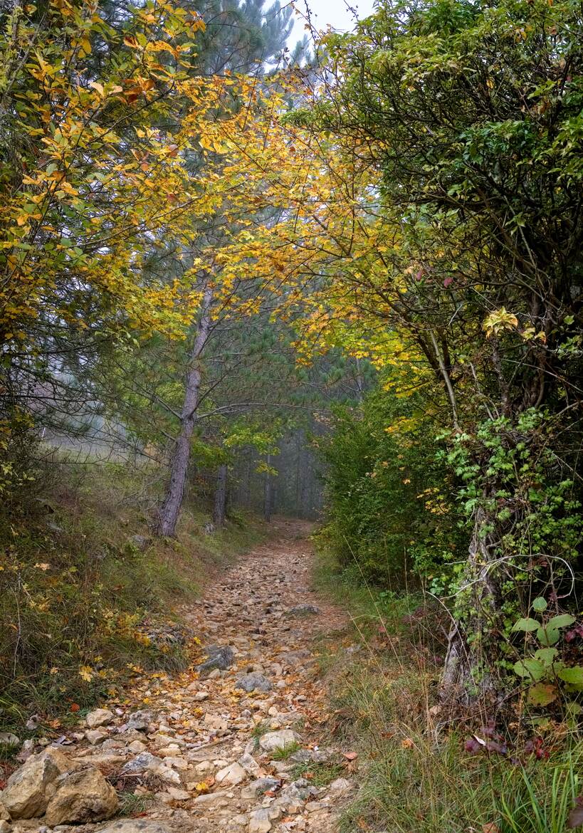 Le chemin de Florac 2