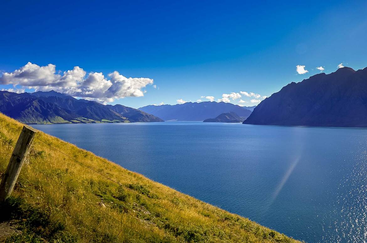Le Bleu Néo Zélandais