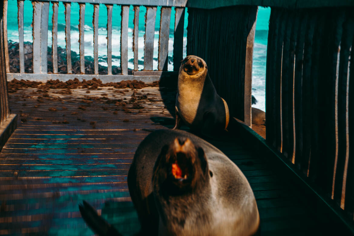 3 secondes avant le drame