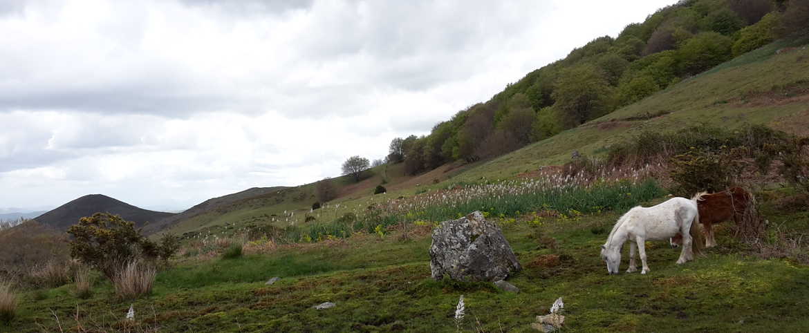 Pays Basque