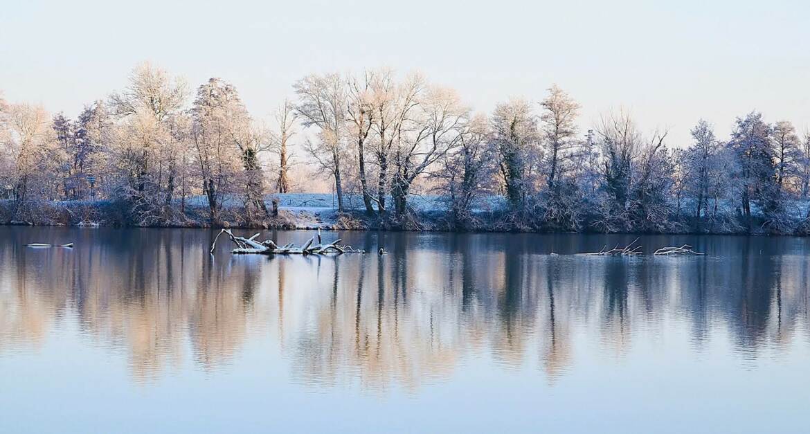 reflet d'hiver.