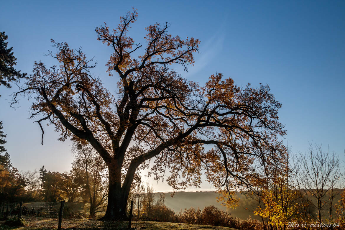 Couleurs d'automne