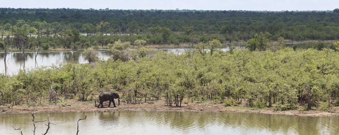 Terre inondée de Mopani