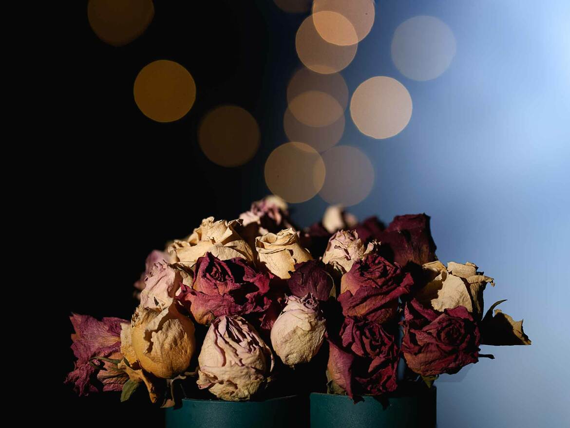 Au bout du jour toujours belles