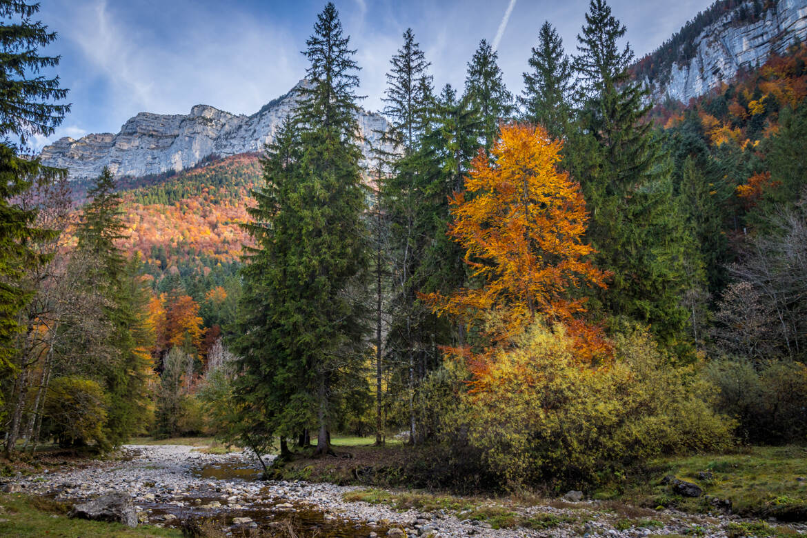 Toujours Saint Même