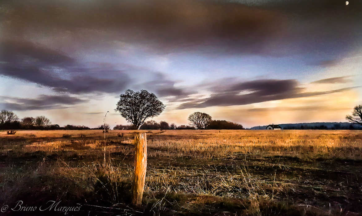 paysage en Normandie