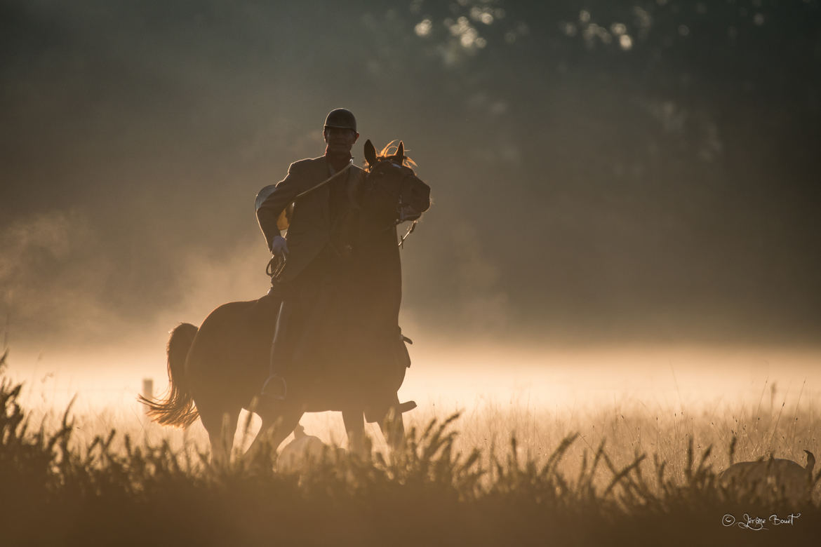 Le cavalier de feu