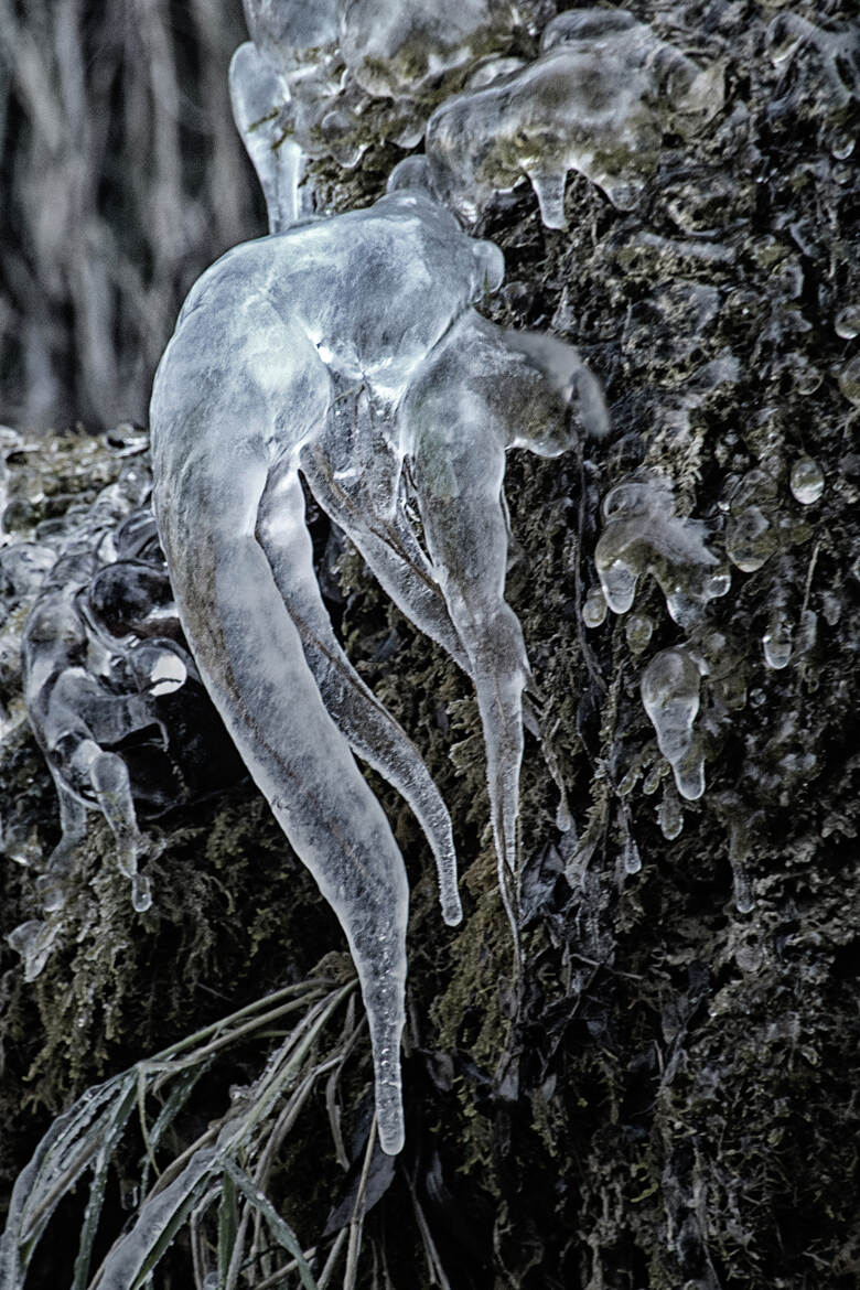 La danseuse de glace